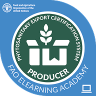 FEA Certified