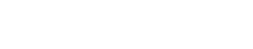 NetGlobe EXIM