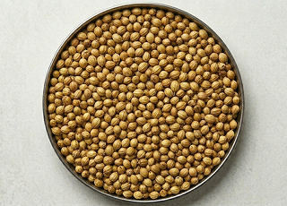 Coriander (Dhaniya)